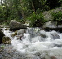 Washpool National Park - Accommodation Cairns