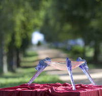 Lillico Glass Studio - Accommodation Cairns