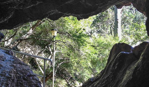 Carlotta Arch Walking Track - Accommodation Cairns 1