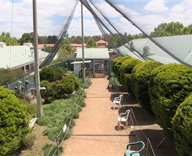 Canberra Walk In Aviary - Accommodation Cairns 2