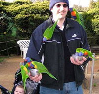 Canberra Walk In Aviary - Accommodation Cairns