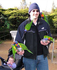 Canberra Walk In Aviary - Accommodation Cairns 0