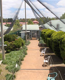 Canberra Walk In Aviary - Accommodation Cairns 3
