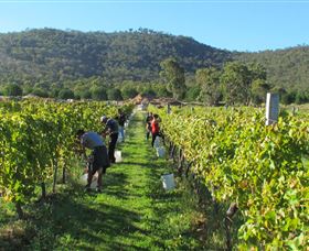 Savina Lane Premum Wines - Accommodation Cairns 1