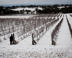Savina Lane Premum Wines - Accommodation Cairns 2