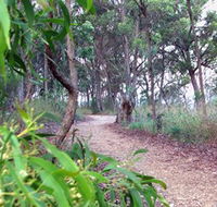 Mount Mutton Walking Trail - Accommodation Cairns