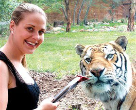 National Zoo & Aquarium - Accommodation Cairns 1