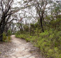 Six Foot walking track - Accommodation Cairns