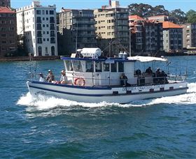 Deep Sea Fishing Charter - Accommodation Cairns 2