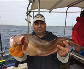 Deep Sea Fishing Charter - Accommodation Cairns 5