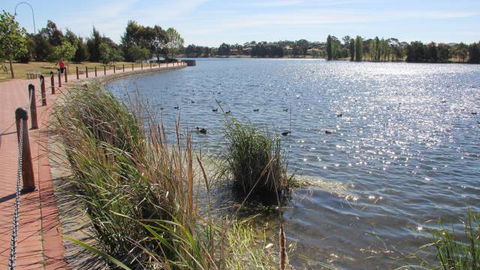 Yerrabi Pond - Accommodation Cairns 1
