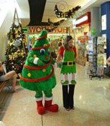  Accommodation Cairns