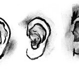 DAB LAB Research Gallery - Accommodation Cairns