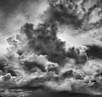 Annandale Galleries - Accommodation Cairns