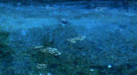Anna Schwartz Gallery Sydney - Accommodation Cairns 2
