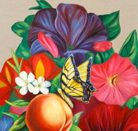 Iain Dawson Gallery - Accommodation Cairns