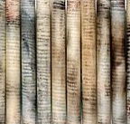 Kerrie Lowe Gallery - Accommodation Cairns