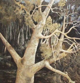 Eschol Park NSW Accommodation Cairns