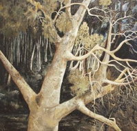 Ku-Ring-Gai Art Centre  Gallery - Accommodation Cairns