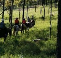 Hunter Valley Horse Riding and Adventures - Accommodation Cairns