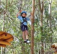 TreeTops Newcastle - Accommodation Cairns