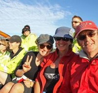 Byron Bay Whale Watching - Accommodation Cairns