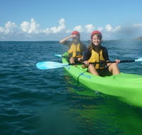 Cape Byron Kayaks - Accommodation Cairns