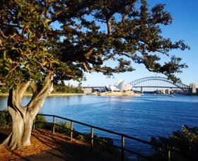 Royal Botanic Gardens And The Domain - Accommodation Cairns 3