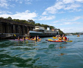 Natural Wanders - Accommodation Cairns 5