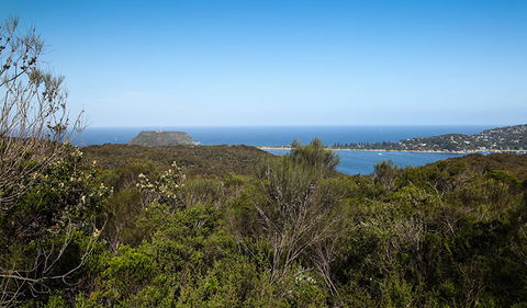 Aboriginal Heritage Walk - Accommodation Cairns 1