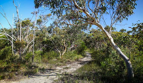 Aboriginal Heritage Walk - Accommodation Cairns 2
