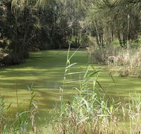 Second Ponds Creek walk - Accommodation Cairns