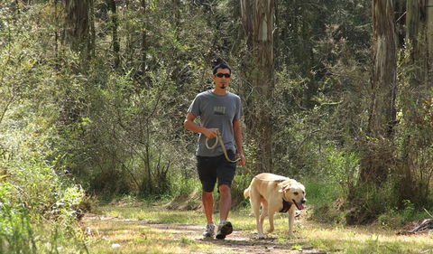 Second Ponds Creek Walk - Accommodation Cairns 3