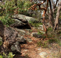 Box Head track - Accommodation Cairns