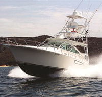 1300 Big Fish - Accommodation Cairns