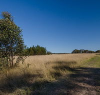 Scheyville horse riding trails - Accommodation Cairns
