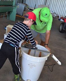 Canoelands Orchard - Accommodation Cairns 2