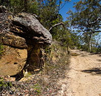 Canoelands Ridge walking track - Accommodation Cairns