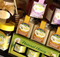 Blue Mountains Honey Company - The Honey Shed - Accommodation Cairns