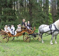 Classic Carriage Drives - Accommodation Cairns