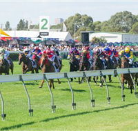 Morphettville Racecourse - Accommodation Cairns