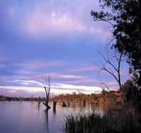 Loch Luna Game Reserve and Moorook Game Reserve - Accommodation Cairns