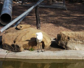 Ram Park - Accommodation Cairns 3