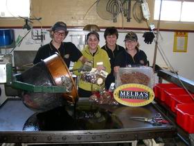 Melba's Chocolate And Confectionery Factory - Accommodation Cairns 1