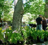 The Stirling Market - Accommodation Cairns