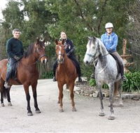 Academy of Dressage - Accommodation Cairns