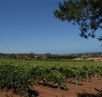 Grancari - Accommodation Cairns