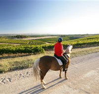 Kidman Trail - Accommodation Cairns