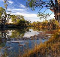 Murray River National Park - Accommodation Cairns