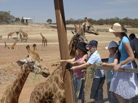Monarto South SA Accommodation Cairns
